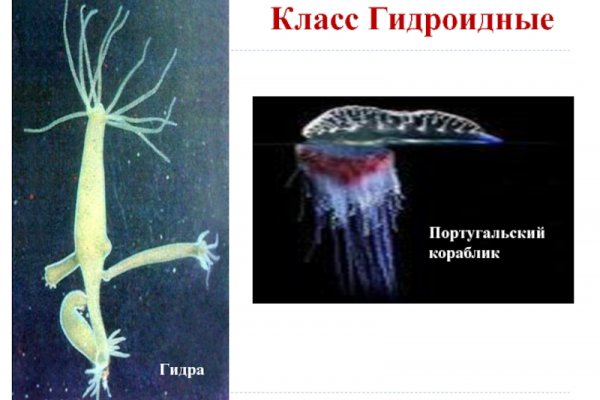 Кракен почему пользователь не найден